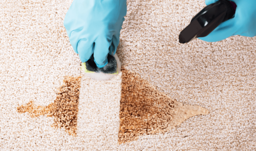 Carpet Cleaning